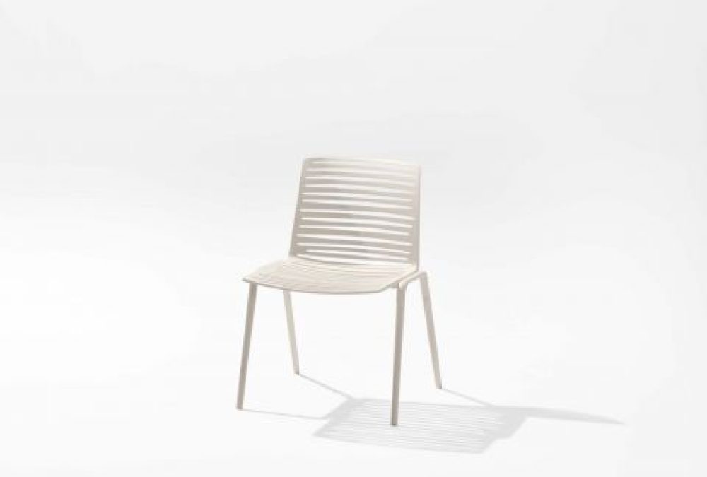Zebra - immagine 6